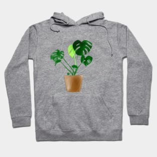 Swiss cheese plant Hoodie